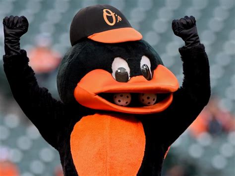 Baltimore black bird mascot